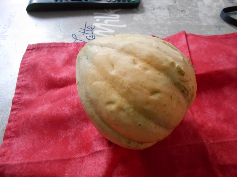 190912 melon.JPG