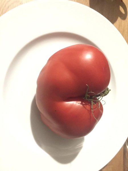 IMG-20190916-WA0000.jpg