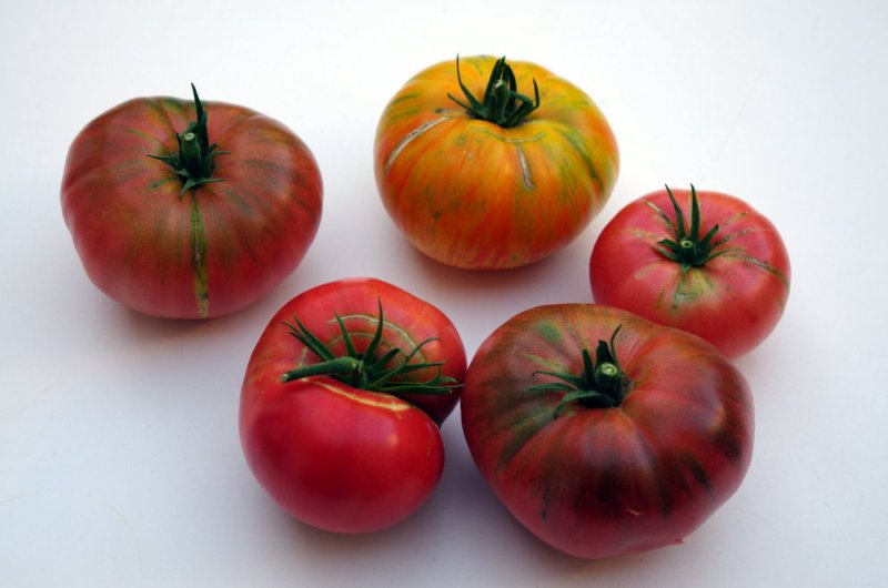 tomates_200919.JPG