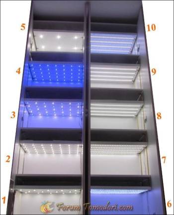 la poupo ouverte: toutes les Leds concernées par le test sont allumées ainsi que le numéro associé à chaque zone de culture.