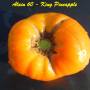 alain60_king_pineapple-2.jpg