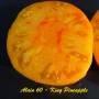 alain60_king_pineapple-3.jpg