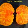 alain60_king_pineapple-4.jpg