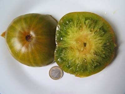 Tomate très mûre