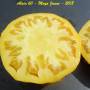 alain60_moya_jaune-3.jpg