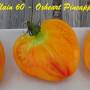 alain60_oxheart_pineapple-2.jpg
