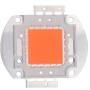 papo4334_cob_50w_fs_1_.jpg
