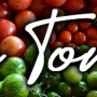 les-tomos_logo.png