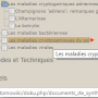 sans_titre.png